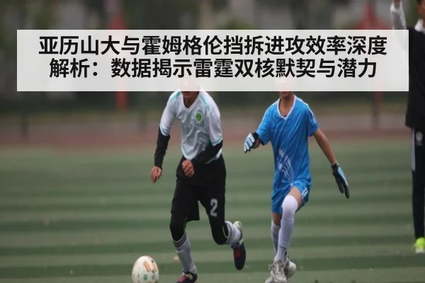 亚历山大与霍姆格伦挡拆进攻效率深度解析：数据揭示雷霆双核默契与潜力 - kaiyun