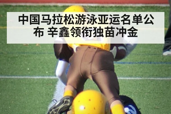 中国马拉松游泳亚运名单公布 辛鑫领衔独苗冲金