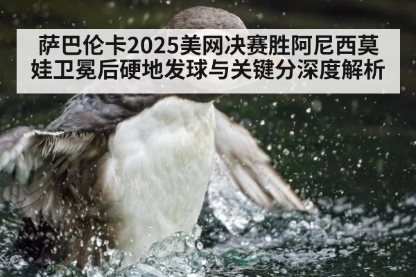 萨巴伦卡2025美网决赛胜阿尼西莫娃卫冕后硬地发球与关键分深度解析